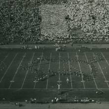 Pig formation during "Who’s Afraid of the Big Bad Wolf," Disney" show, Washington State game, September 30, 1950
