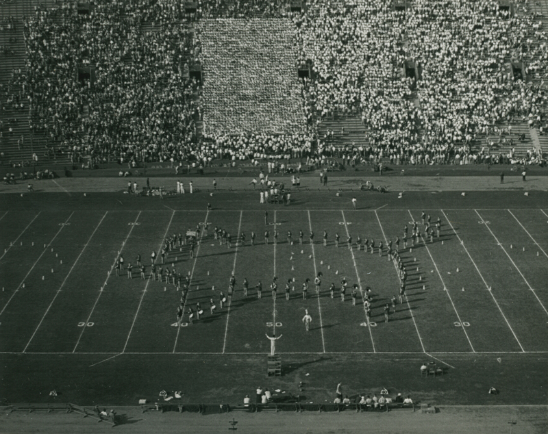Pig formation during "Who’s Afraid of the Big Bad Wolf," Disney" show, Washington State game, September 30, 1950