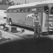 1951 set 1e Bus driver