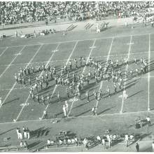 FieldShowOlympicRings