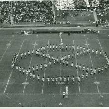 FieldShowOctagonX