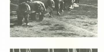 1976 Rose Bowl