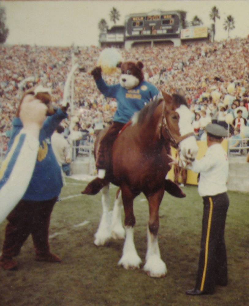 UCLA's horse at the USC game