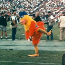 1991 at SDSU San Diego Chicken 2