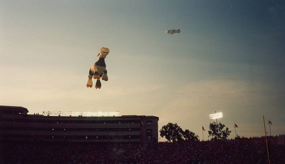 1994 Rose Bowl The Cow!