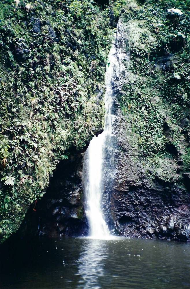 1995 Aloha Bowl Sacred Falls