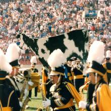 The Cow, Wizard of Oz Show, Arizona State game, October 12, 1996