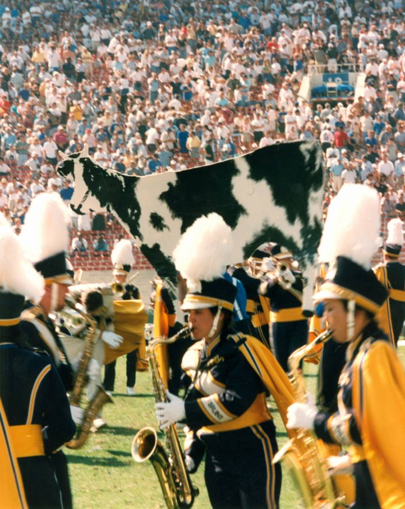 The Cow, Wizard of Oz Show, Arizona State game, October 12, 1996