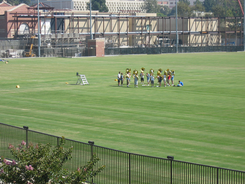 Tuba Sectional on the new IM Field