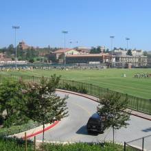 IMG_1475Field