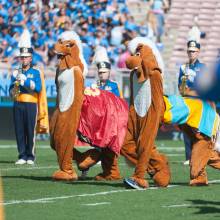 141011_bnd_394