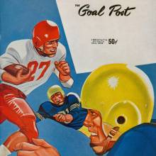 9271957 Goal Post Illinois Coverx