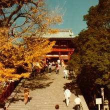 Temple in Kamakura 3