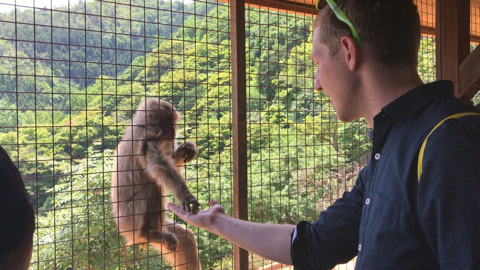 Iwatayama Monkey Park