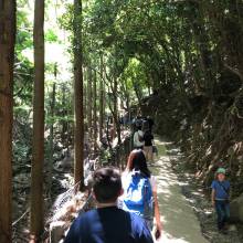 Walking up to the Iwatayama Monkey Park in Arashiyama