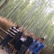 The Bamboo Forest