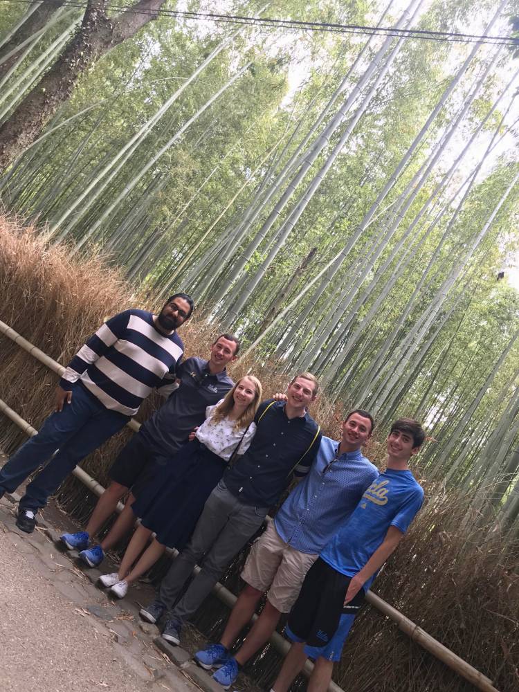 The Bamboo Forest